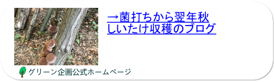 原木しいたけとなめこを収穫&美味しいレシピ