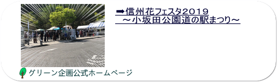 信州花フェスタ２０１９～小坂田公園道の駅まつり～で、菌打ちしたしいたけとなめこの原木が、この秋、 ついにぞくぞくと収穫できました！！