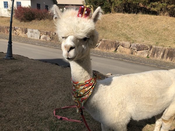 21年間ありがとう！信州塩尻農業公園『チロルの森』閉園