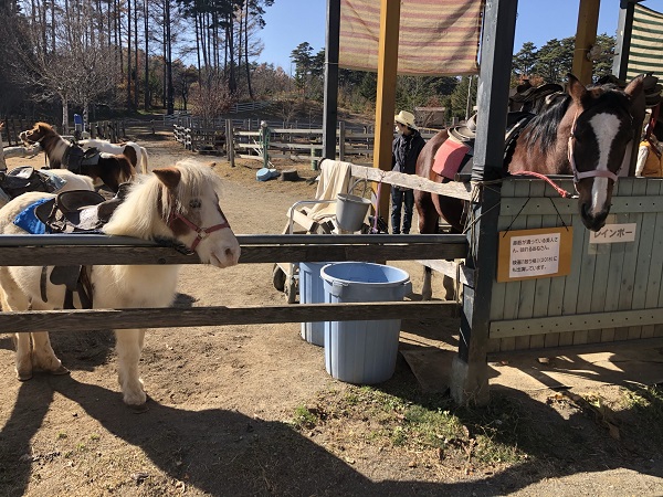 21年間ありがとう！信州塩尻農業公園『チロルの森』閉園