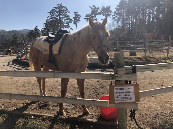 21年間ありがとう！信州塩尻農業公園『チロルの森』閉園
