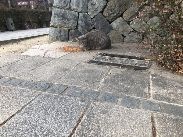 『まつもと古市＃66』で出会う古き良きものが集まる蚤の市