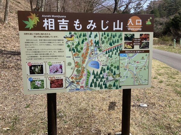 チロルの森の隣にある紅葉山