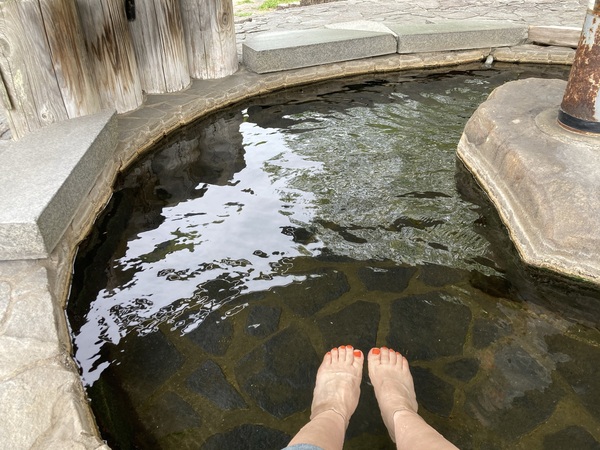 新穂高へ山菜狩りに