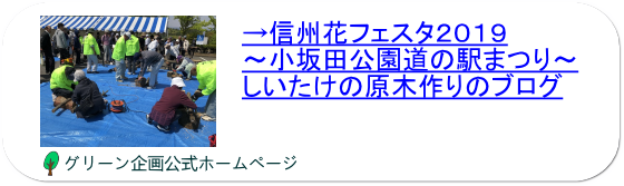 信州花フェスタ２０１９～小坂田公園道の駅まつり～