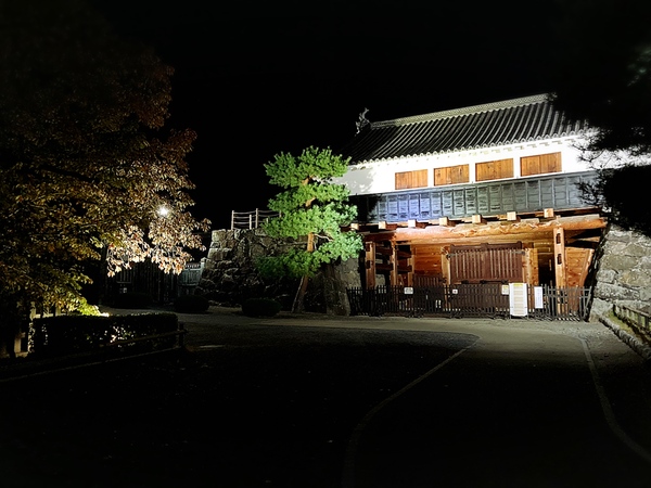 日本最古の国宝夜の松本城🏯紅葉とライトアップ　松本城の紅葉が始まりました