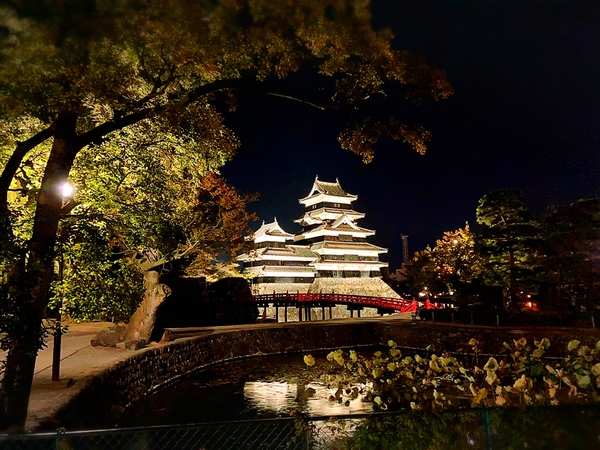 日本最古の国宝夜の松本城🏯紅葉とライトアップ　松本城の紅葉が始まりました