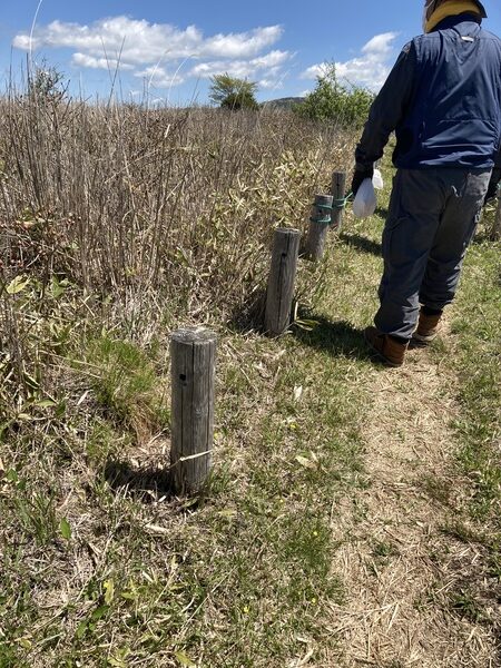 令和4年度 高ぼっち 自然環境ボランティア活動記録レポ☆塩尻市でいだらぼっち