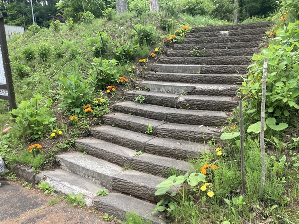 塩尻市善知鳥峠 分水嶺公園の花植えボランティア