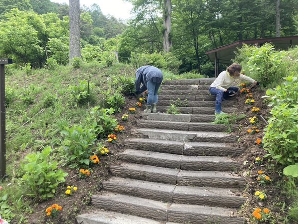 塩尻市善知鳥峠 分水嶺公園の花植えボランティア