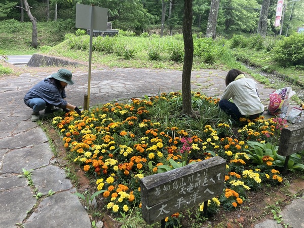 塩尻市善知鳥峠 分水嶺公園の花植えボランティア