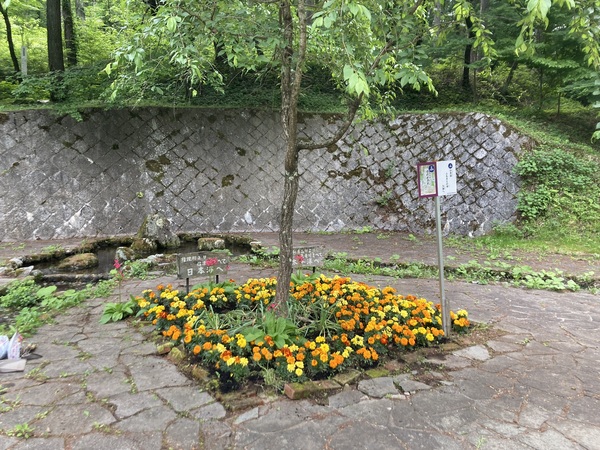 塩尻市善知鳥峠 分水嶺公園の花植えボランティア