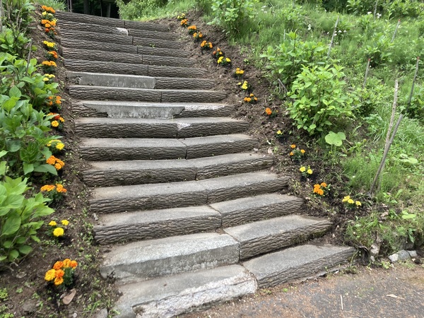 塩尻市善知鳥峠 分水嶺公園の花植えボランティア