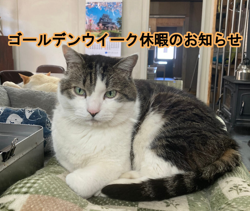 ゴールデンウイークのお知らせ