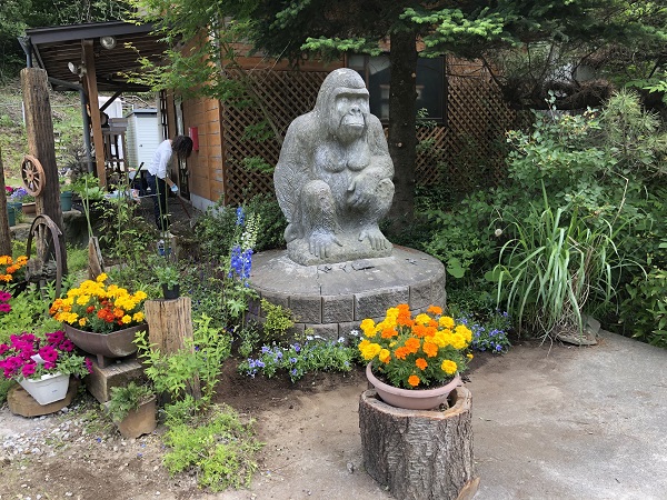 大至急！！会社の守り神「ゴリラさん」の顔が落ちました・・・！！！！
