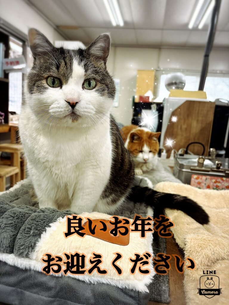 年末年始休業のお知らせ