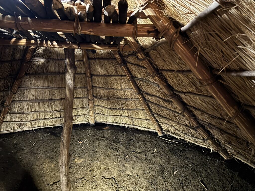 縄文時代の家屋で、入り口から入ると半地下になっていて、上は何本もの柱が組んであり、藁や草木などで屋根を作ってあります。 中に入ると少し暖かい。