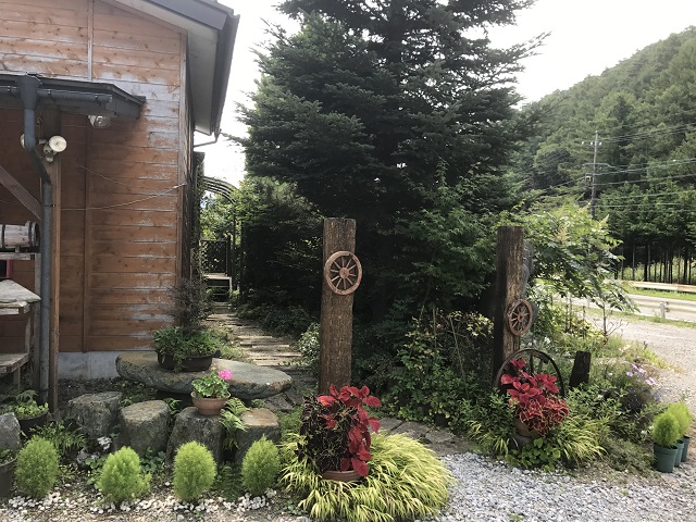 tree