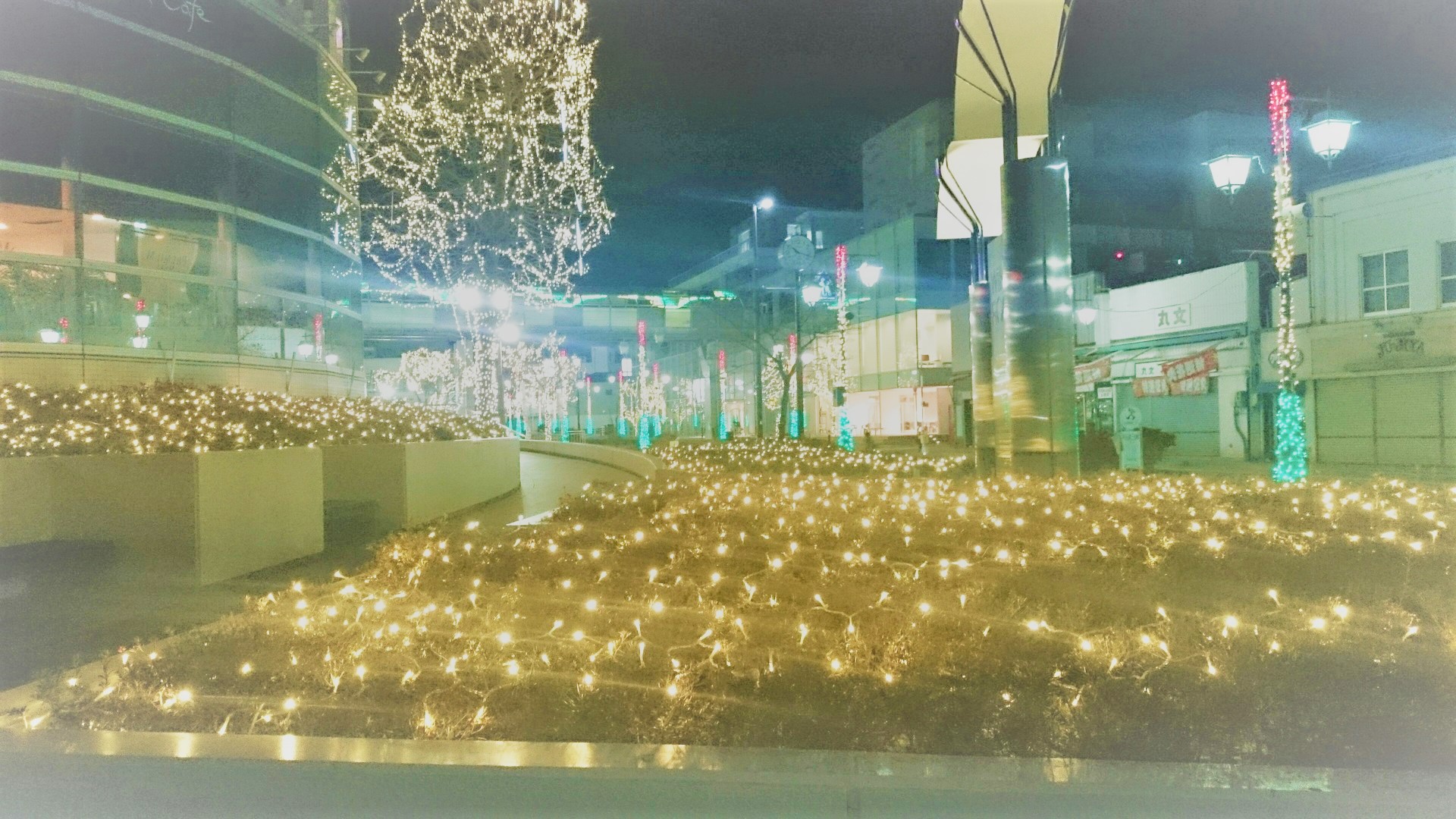 tree