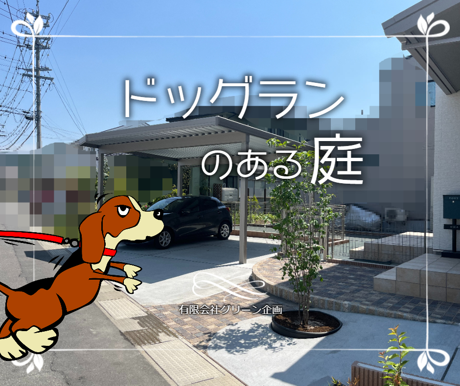 image news
